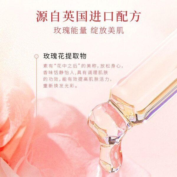 粉色系rom gift bag 婚礼注册仪式伴手礼 (copy)